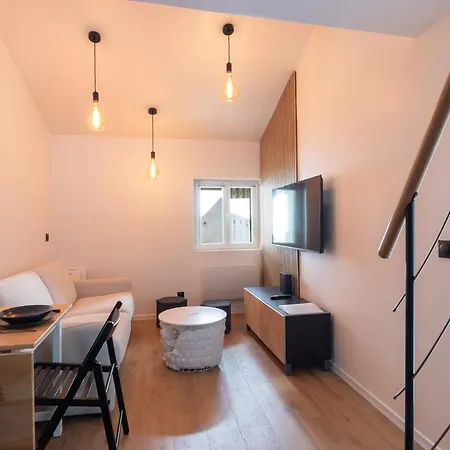 Apartment & Le Cosy Curial *
